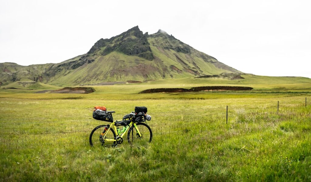 A bike parked in a field with a mountain in the background